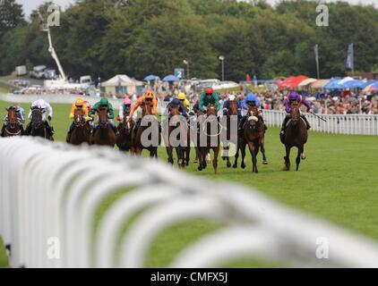 04.08.2012 Goodwood, en Angleterre. L'EBF Maiden Stakes Natwest, au cours de l'action au jour de la Coupe Stewards Glorious Goodwood Festival. Banque D'Images