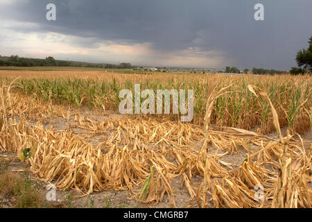 New York, USA. 7 Août, 2012. Des tiges de maïs séché se situent dans un champ dans Sarpy Comté, Nebraska, USA, comme un nuage d'orage se profile à l'arrière-plan. La région n'a eu qu'un quart de pouce (moins d'un centimètre) de pluie depuis la mi-juin. Cette tempête n'a transporté environ 10e de pouce (3 mm) de pluie, ce qui est beaucoup trop peu et bien trop tard pour ce champ. Banque D'Images