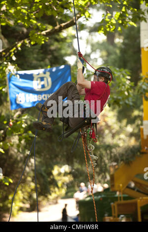 12 août 2012 - Portland, OR, USA - 2012 La finale du Championnat d'Escalade Arbre International a eu lieu à Portland, Oregon's Laurelhurst Park. Les participants du monde entier ont tester leurs compétences en escalade et de sauvetage. (Crédit Image : © Ken Hawkins/ZUMAPRESS.com) Banque D'Images