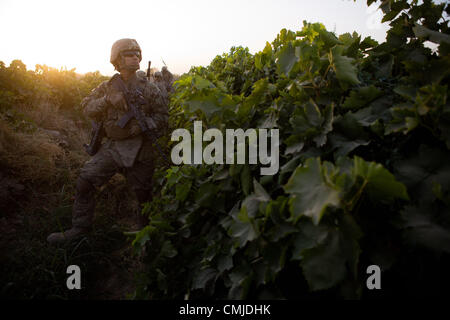 12 août 2012 - Zharay District, Province de Kandahar, Afghanistan - LE SGT. Guillermo Garcia du 2e Peloton, la Compagnie Alpha, 1-17, l'infanterie se déplace dans un champ de raisin pendant une opération pour retirer le couvercle de l'arbre utilisé par les chasseurs ennemis près de COP Ghundy Zharay Ghar en district, province de Kandahar le dimanche, Août 12, 2012. (Crédit Image : ¬© ANDREW A. Nelles/ZUMA Press) Banque D'Images