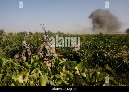 12 août 2012 - Zharay District, Province de Kandahar, Afghanistan - une ligne d'arbres est démoli durant une opération pour retirer le couvercle de l'arbre utilisé par les chasseurs ennemis près de COP Ghundy Zharay Ghar en district, province de Kandahar le dimanche, Août 12, 2012. (Crédit Image : ¬© ANDREW A. Nelles/ZUMA Press) Banque D'Images