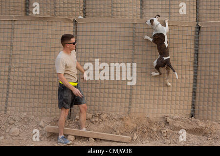 Août 04, 2012 Zharay - district, province de Kandahar, Afghanistan - TEDD handler SPC. ALEXANDER REIMER, de l'équipe de combat de la 4e Brigade, 82e Division aéroportée, des exercices avec son chien Howard à la BOA Pasab. La 82nd Airborne Division, 4e Brigade Combat Team a employé une tactique unique contre la menace d'un engin explosif improvisé en Afghanistan, tactique des chiens détecteurs d'explosifs. Les équipes de TEDD sont envoyés sur place pour accompagner les patrouilles à pied où ils sont efficaces pour détecter les menaces potentielles IED. Contrairement aux équipes de chiens de travail militaire, dont l'armée a utilisé dans le pas Banque D'Images