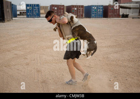 Août 04, 2012 Zharay - district, province de Kandahar, Afghanistan - TEDD handler SPC. ALEXANDER REIMER, de l'équipe de combat de la 4e Brigade, 82e Division aéroportée, des exercices avec son chien Howard à la BOA Pasab. La 82nd Airborne Division, 4e Brigade Combat Team a employé une tactique unique contre la menace d'un engin explosif improvisé en Afghanistan, tactique des chiens détecteurs d'explosifs. Les équipes de TEDD sont envoyés sur place pour accompagner les patrouilles à pied où ils sont efficaces pour détecter les menaces potentielles IED. Contrairement aux équipes de chiens de travail militaire, dont l'armée a utilisé dans le pas Banque D'Images