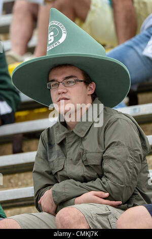 Deland, en Floride, USA. 2 nov., 2013. Stetson Hatter ventilateur pendant la seconde moitié NCAA Football action de jeu entre les combats de chameaux et Campbell Stetson de chapeliers. Campbell défait Stetson 19-18 au stade Martin Spec dans DeLand, en Floride. Credit : csm/Alamy Live News Banque D'Images