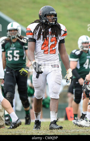 Deland, en Floride, USA. 2 nov., 2013. Le joueur de ligne défensive Campbell Lynch taureaux (42) pendant la seconde moitié NCAA Football action de jeu entre les combats de chameaux et Campbell Stetson de chapeliers. Campbell défait Stetson 19-18 au stade Martin Spec dans DeLand, en Floride. Credit : csm/Alamy Live News Banque D'Images