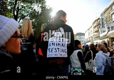 Brighton, Sussex, UK. 29Th sep 2013. Les manifestants contre le gouvernement de réforme du blaireau en Grande-Bretagne se réunissent à Brighton Banque D'Images