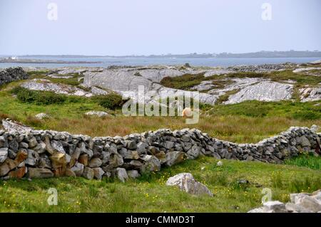 Kilkieran Bay est une baie dans le Connemara, comté de Galway, ouest de l'Irlande, photo prise le 2 juin 2013. L'ensemble du territoire et d'îles situées dans et autour de Kilkieran Bay (Cill Chiarain Bay) forment la base du plus fort reste la région Gaeltacht (région de langue irlandaise) en Irlande. Photo : Frank Baumgart Banque D'Images