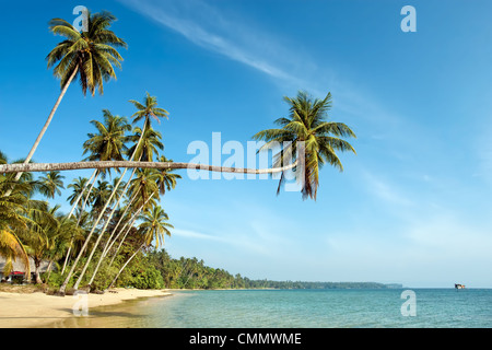 Paysage tropical de l'île de Ko Mak en Thaïlande. Banque D'Images