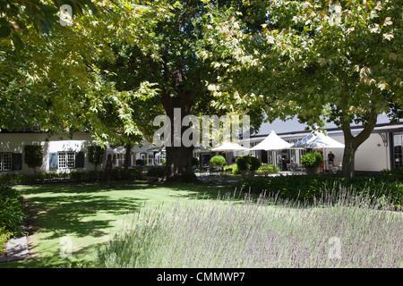 Grand Provence en Franschhoek - Afrique du Sud Banque D'Images