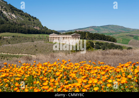 Vue sur le temple dorique Grec, Segesta, Sicile, Italie, Europe Banque D'Images