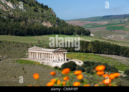 Vue sur le temple dorique Grec, Segesta, Sicile, Italie, Europe Banque D'Images