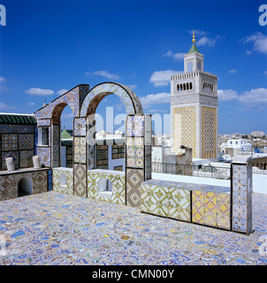 Vue sur Ville et Grande Mosquée de toit carrelée, Tunis, Tunisie, Afrique du Nord, Afrique Banque D'Images