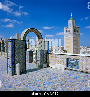 Vue sur Ville et Grande Mosquée de toit carrelée, Tunis, Tunisie, Afrique du Nord, Afrique Banque D'Images