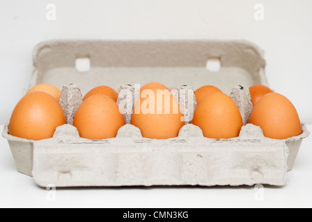 Les oeufs bruns dans la boîte Banque D'Images