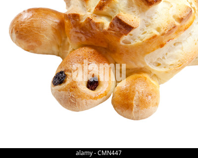 Pain blanc de fête, en forme de tortue ; Suisse. Charles Lupica. Banque D'Images