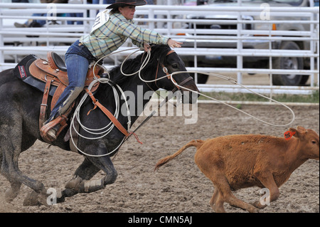 USA, Saumon, New York, d'insertion au lasso, High School Rodeo Banque D'Images