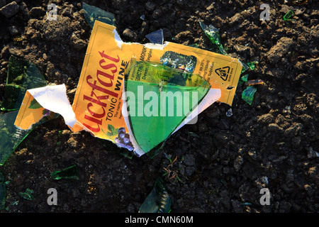 Les éclats de verre d'une bouteille de vin tonique Buckfast Banque D'Images