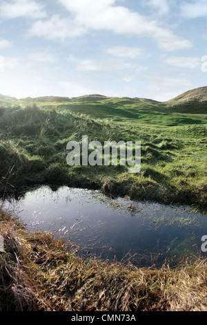 Un piège à eau sur un Links golf course en Irlande Banque D'Images