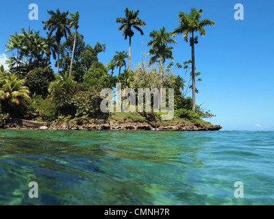 L'île des Caraïbes avec belle végétation tropicale vu de surface de l'eau Banque D'Images