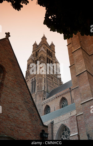 Cathédrale Saint Salvator, Bruges Banque D'Images