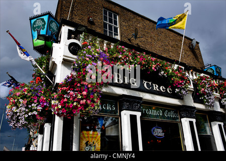 Le Grand Arbre, pub irlandais à Dublin Banque D'Images