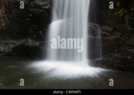 Cascade de Cascades de cristal - un trou d'eau douce avec populaires près de Cairns, Queensland, Australie Banque D'Images