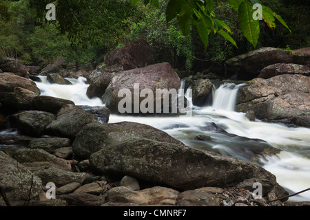 Crystal Cascades - un trou d'eau douce avec populaires près de Cairns, Queensland, Australie Banque D'Images