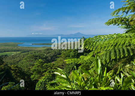 Vue sur Parc national de Daintree de Walu Wugirriga (Alexandra) Lookout. Parc national de Daintree, Queensland, Australie Banque D'Images