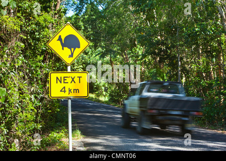 Cassowary panneau de passage à niveau. Parc national de Daintree, Queensland, Australie Banque D'Images