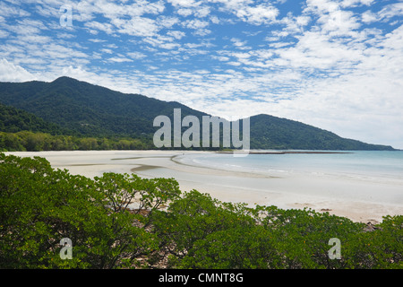 Voir à partir de Cape Tribulation Lookout. Parc national de Daintree, Queensland, Australie Banque D'Images