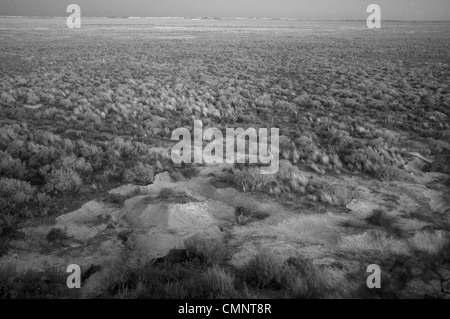 Dry Lake bed Outback Australie # 2 Banque D'Images