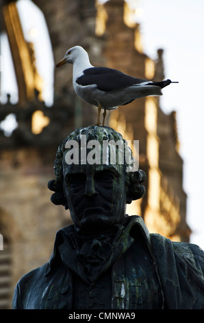 Seagull assis sur la tête de la statue d'Adam Smith dans le Royal Mile, Édimbourg, Écosse. Banque D'Images