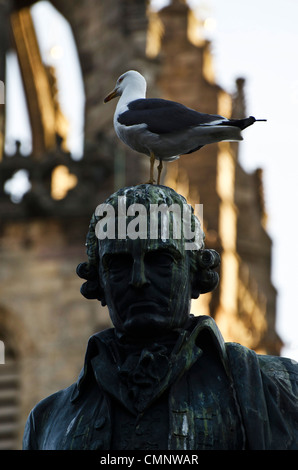 Seagull assis sur la tête de la statue d'Adam Smith dans le Royal Mile, Édimbourg, Écosse. Banque D'Images