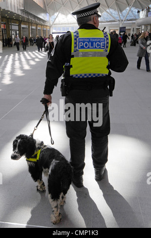 Vue arrière British transport policier en uniforme et sniffer chien d'origine espagnole Kings Cross gare principale Concourse Londres Angleterre Royaume-Uni Banque D'Images