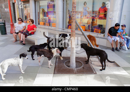 Arica Chile,Paseo Peatonal 21 de Mayo,centre commercial piétonnier,hispanique femme femme femme femme,homme hommes,garçon garçons,enfant enfants enfant enfants jeune,père,paren Banque D'Images