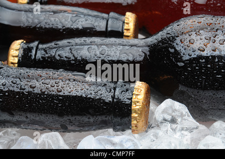 Bouteilles de bière brune Gros plan fixant dans la glace. Format horizontal avec l'accent sur la bouteille avant. Banque D'Images