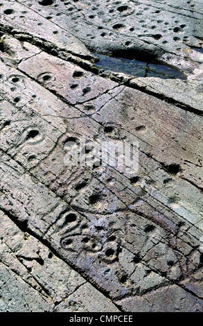 Tasse préhistorique et l'anneau de pierre sculpté marque rock art rocheux à Kilmichael Glassary Vallée, Kilmartin, Argyll, Scotland, UK l'ouest Banque D'Images