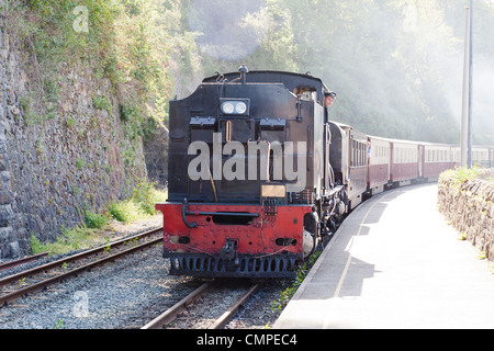 Locomotive à vapeur tirant un train de voyageurs sur le Welsh Highland Railway Banque D'Images