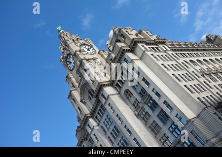 Le Royal Liver Building Liverpool Banque D'Images