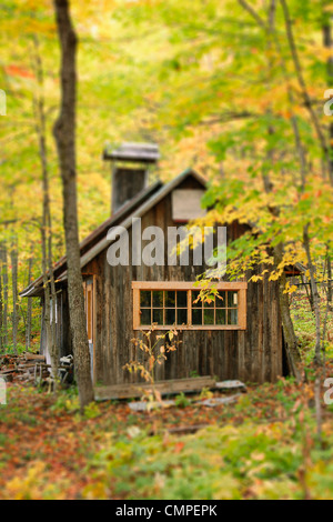 Cabane A Sucre A L Automne Le Village De Kamouraska Bas Saint Laurent Quebec Photo Stock Alamy Cabane A Sucre A L Automne Le Village De Kamouraska Bas Saint Laurent Quebec Photo Stock Alamy