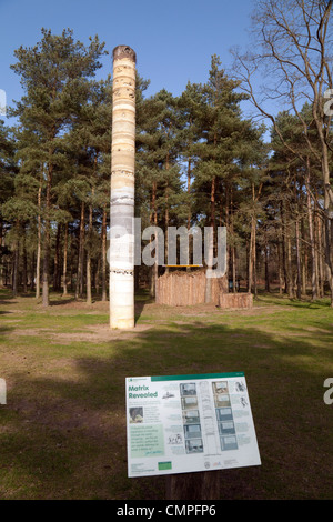 Travaux d'art représentant les strates géologiques en dessous du site, Lodge, La Forêt de Thetford, Norfolk UK Banque D'Images