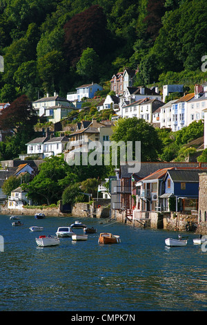 Cher et des propriétés du secteur riverain sur la rivière Dart à Dartmouth, Devon, England, UK Banque D'Images