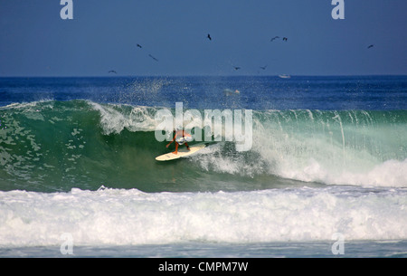 Surfer sur un longboard à l'intérieur d'une vague de tubes à Chacahua au Mexique. Banque D'Images