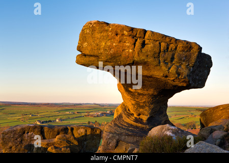 Les Druides Table, Yorkshire, Angleterre, Royaume-Uni, Europe Banque D'Images