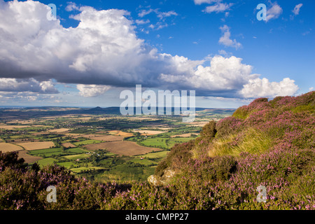 À l'égard d'églantier Topping, Yorkshire, Angleterre, Royaume-Uni, Europe Banque D'Images