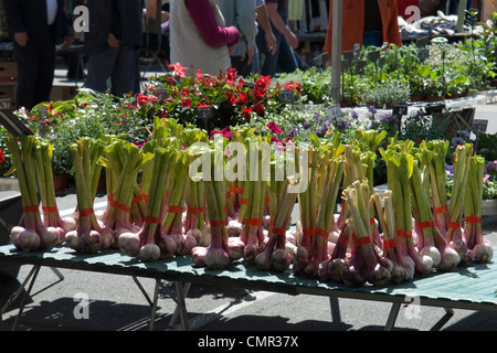 Bouquets colorés de l'ail frais dans le marché du samedi à Moissac, au sud-ouest de la France. Banque D'Images