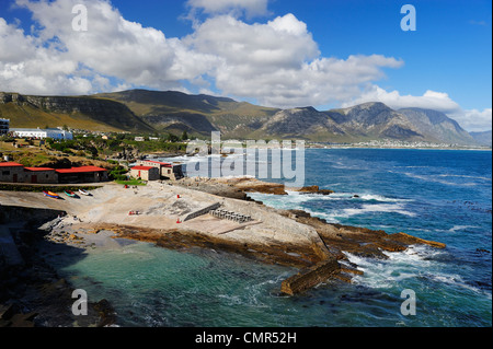 Le vieux port à Hermanus sur Walker Bay, Western Cape, Afrique du Sud Banque D'Images