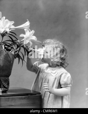 1940 Petite BLONDE GIRL SMELLING Lis de Pâques Banque D'Images