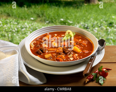 Soupe de goulash hongrois Banque D'Images