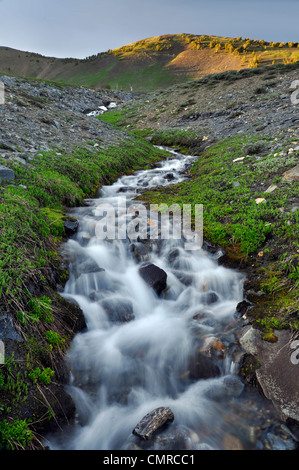 Ruisseau sans nom élevé dans les montagnes de l'Oregon Wallowa. Banque D'Images